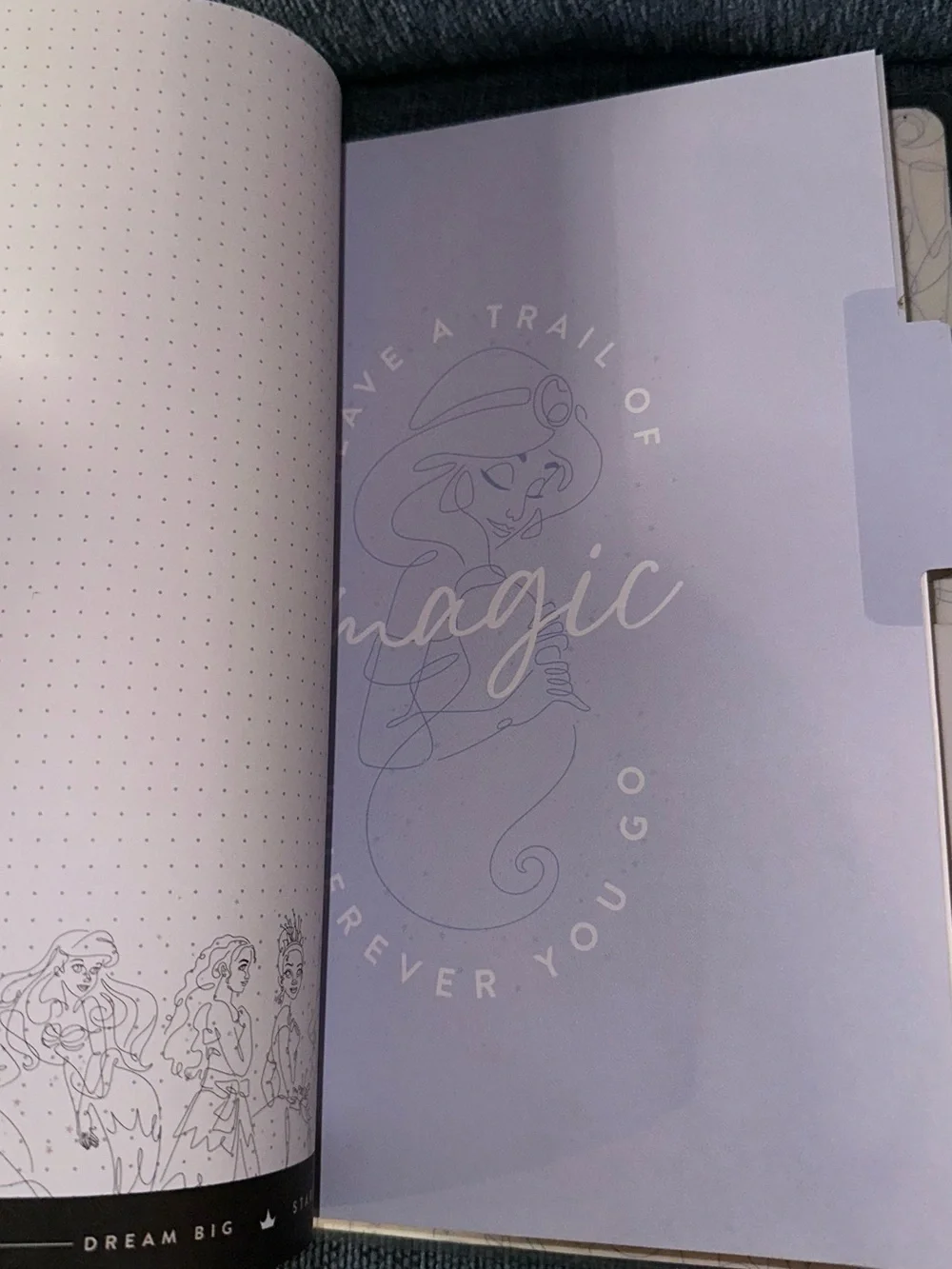 READ DESCRIPTION The Happy Planner Princess Guided Wellness Journal Classic Size